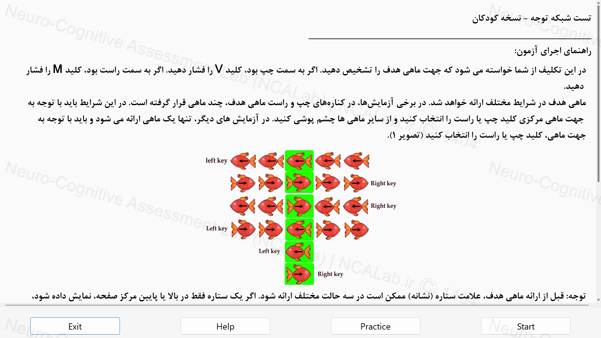  تست شبکه توجه - نسخه کودکان Attentional Network Test (ANT-Child version)